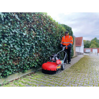 Wildkrautbürste WKB 660 Honda 3
