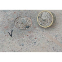 Diamant Schleifschuh CA2 Abrassiv weicher Beton und Estrich,